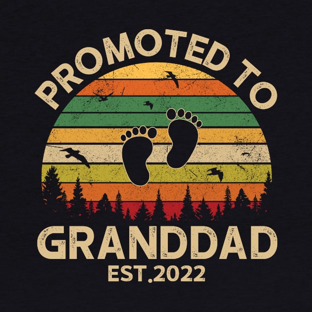 Promoted To Granddad Est 2022 Pregnancy Announcement Vintage by Michelin